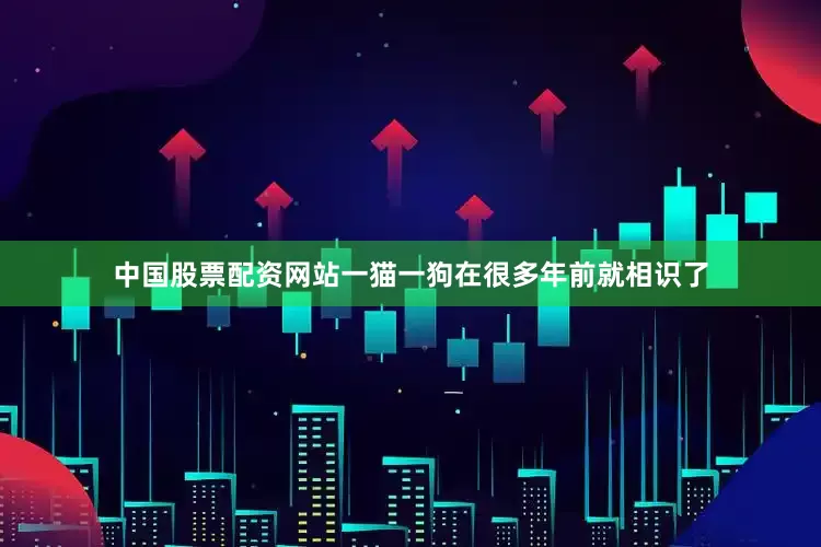 中国股票配资网站一猫一狗在很多年前就相识了