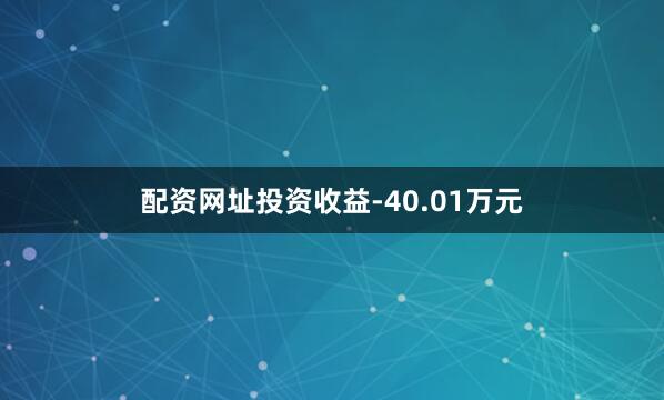 配资网址投资收益-40.01万元