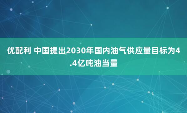 优配利 中国提出2030年国内油气供应量目标为4.4亿吨油当量