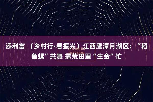添利富 （乡村行·看振兴）江西鹰潭月湖区：“稻鱼螺”共舞 撂荒田里“生金”忙